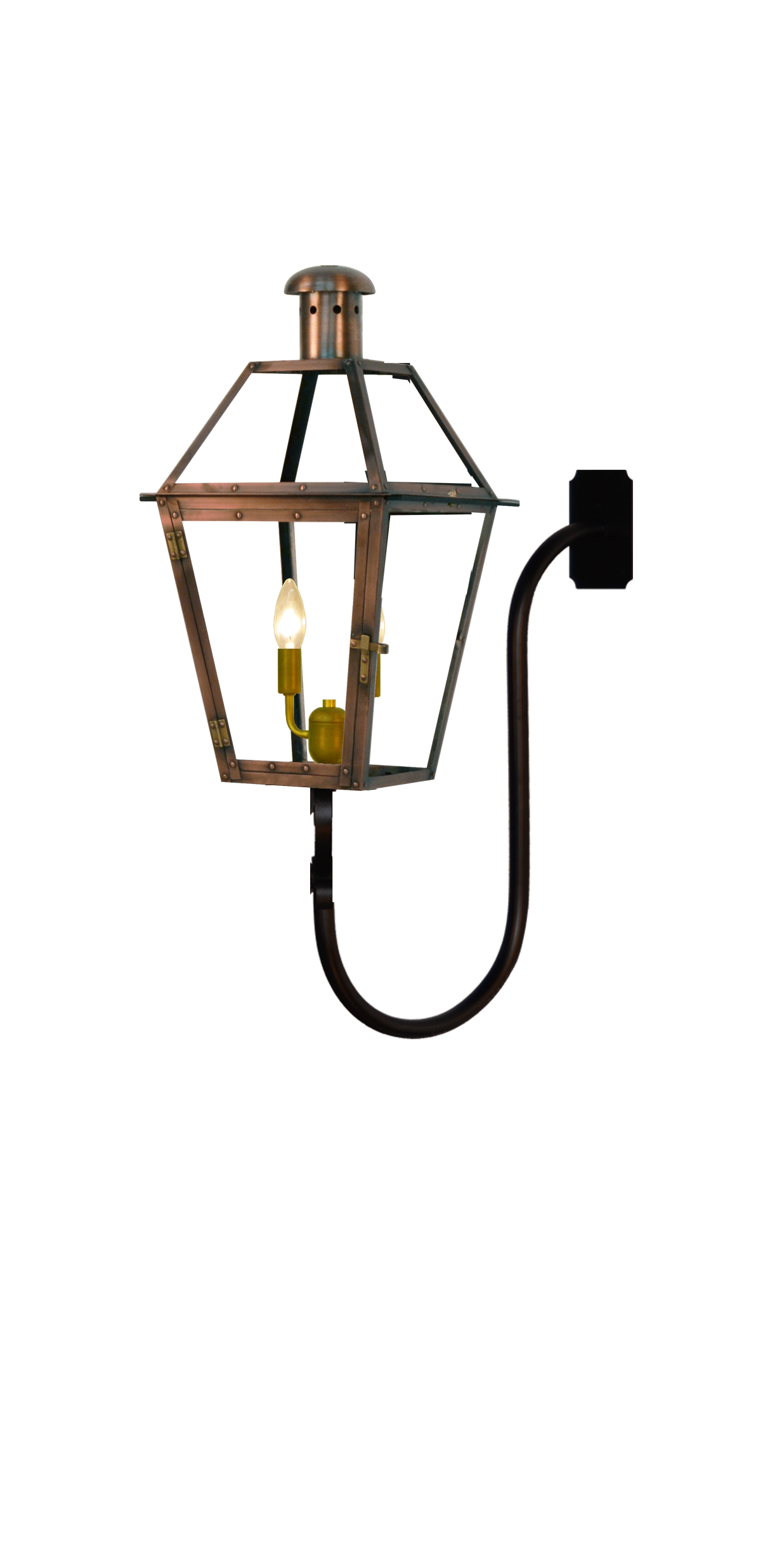 Georgetown 28'' Electric Gooseneck